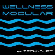 (c) Wellnessmodular.com